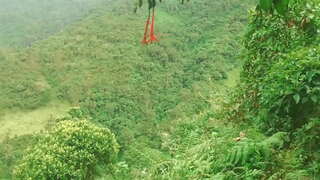 Colombia di dalam Hutan untuk Memberikan Bahasa dan Bercinta dengan orang Asing Seks dalam Pertukaran Untuk Kewangan Membantu.