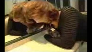 мастурбация жопа ебля но