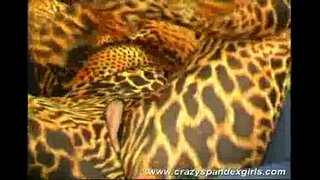 ���िलक्षण आकर्षण असलेला स्पॅनडेक्स मुलगी चिडवणे स्त्री पुरुष समागम