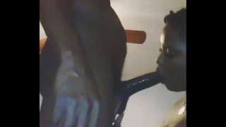 Nieko panašaus kalė, kurie mėgsta suck dick