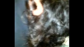 توڑنے کے شرارتی