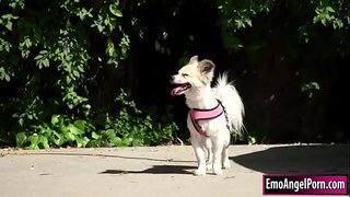 ریزه اندام شخص ساده و معصوم خالکوبی می یابد سگ خود را به اموال همسایگان او.همسایه او می خواهد پاداش, لباس های خود را حذف و او سپس گلو همسایگان bigcock.In بازگشت همسایه اش بیدمشک و الاغ او را عمیق و سخت می کند تا زمانی که او را در او می کشد.