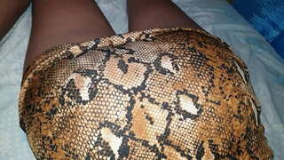 Hodie, dominica, consobrino meo, venit b. et cum habitu