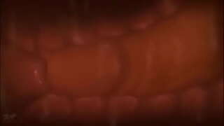 Cumming ဝမ်းအတွင်း