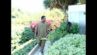 Metroo - Nigra Carnal Coeds 13 - Plena filmo