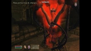 Csáp sötétség.avi