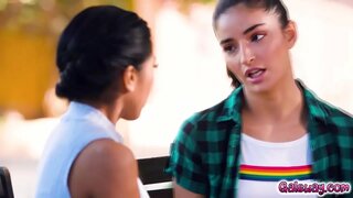 ̗�버와 에밀리 계획을 반대문